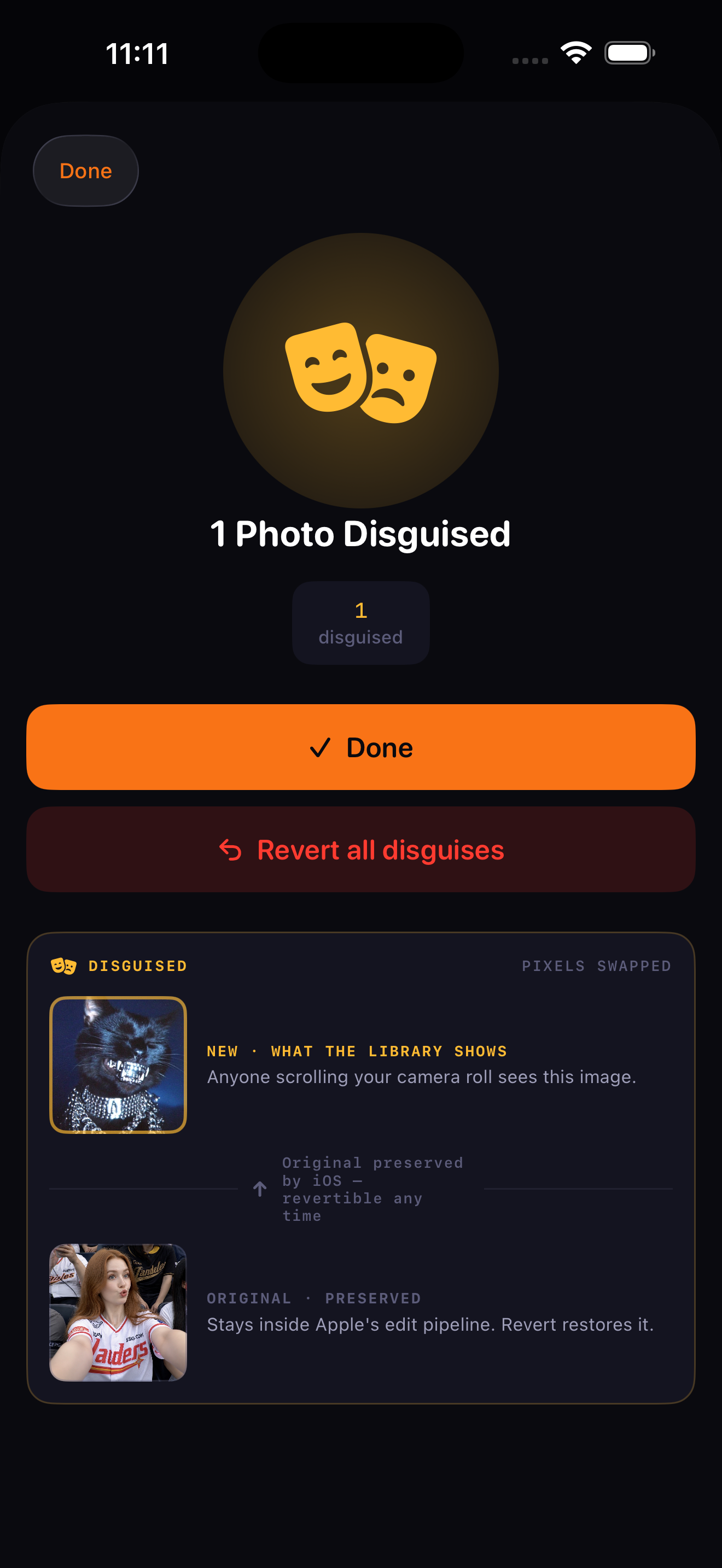 Skrim Photo Disguise — swap the pixels of any photo with a chosen decoy, revertible inside the app